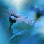 Thumbnail of 