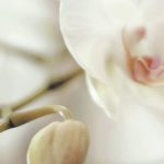 Thumbnail of 