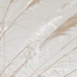 Thumbnail of 