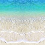 Thumbnail of 