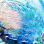 Thumbnail of 